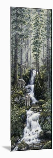 Cascade Wolves-Jeff Tift-Mounted Giclee Print