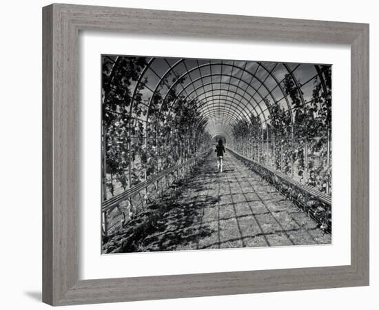 Cascade-Sharon Wish-Framed Photographic Print