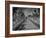 Cascade-Sharon Wish-Framed Photographic Print