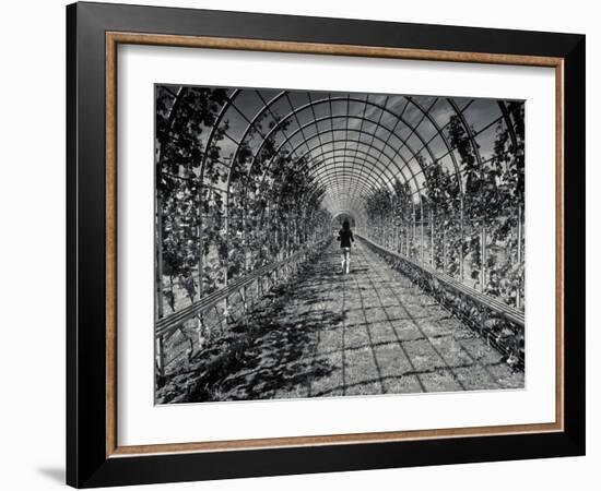 Cascade-Sharon Wish-Framed Photographic Print