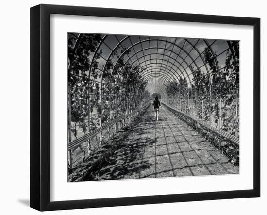 Cascade-Sharon Wish-Framed Photographic Print