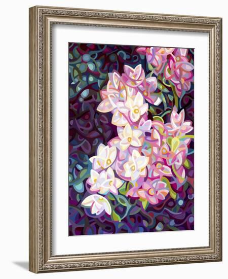 Cascade-Mandy Budan-Framed Giclee Print