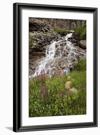 Cascades and Elephant Heads, San Juan Nat'l Forest, Colorado, USA-James Hager-Framed Photographic Print