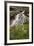 Cascades and Elephant Heads, San Juan Nat'l Forest, Colorado, USA-James Hager-Framed Photographic Print