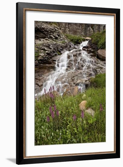 Cascades and Elephant Heads, San Juan Nat'l Forest, Colorado, USA-James Hager-Framed Photographic Print