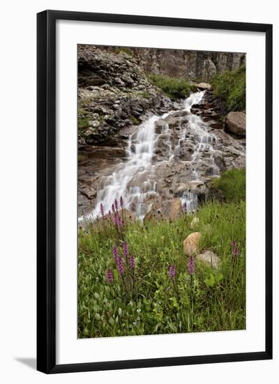 Cascades and Elephant Heads, San Juan Nat'l Forest, Colorado, USA-James Hager-Framed Photographic Print