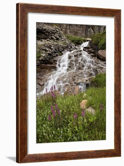 Cascades and Elephant Heads, San Juan Nat'l Forest, Colorado, USA-James Hager-Framed Photographic Print