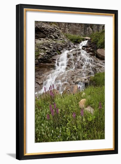 Cascades and Elephant Heads, San Juan Nat'l Forest, Colorado, USA-James Hager-Framed Photographic Print