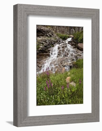 Cascades and Elephant Heads, San Juan Nat'l Forest, Colorado, USA-James Hager-Framed Photographic Print