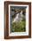 Cascades and Elephant Heads, San Juan Nat'l Forest, Colorado, USA-James Hager-Framed Photographic Print