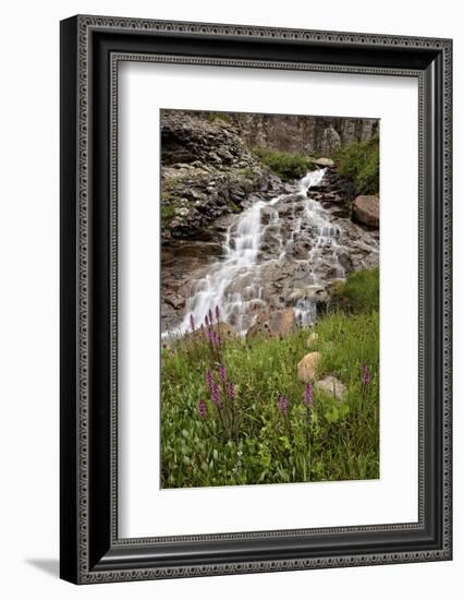 Cascades and Elephant Heads, San Juan Nat'l Forest, Colorado, USA-James Hager-Framed Photographic Print