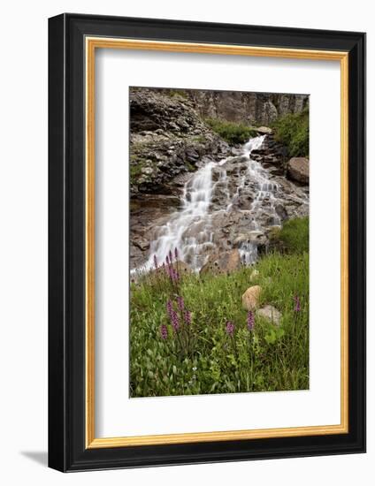 Cascades and Elephant Heads, San Juan Nat'l Forest, Colorado, USA-James Hager-Framed Photographic Print