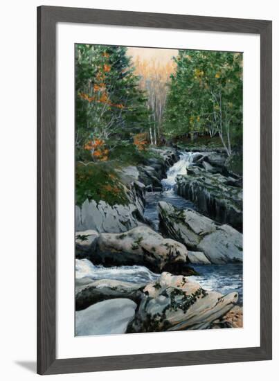 Cascades dans les Bois-Francs-Sylvia Audet-Framed Art Print