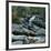 Cascades dans les Bois-Francs-Sylvia Audet-Framed Art Print