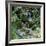 Cascades en sous-bois-Sylvia Audet-Framed Art Print