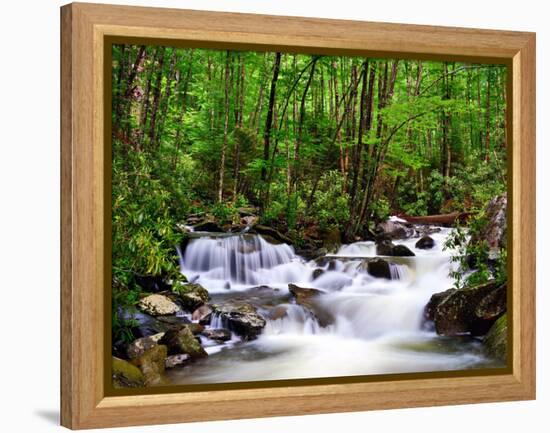 Cascades in the Smoky Mountains of Tennessee, Usa.-SeanPavonePhoto-Framed Premier Image Canvas