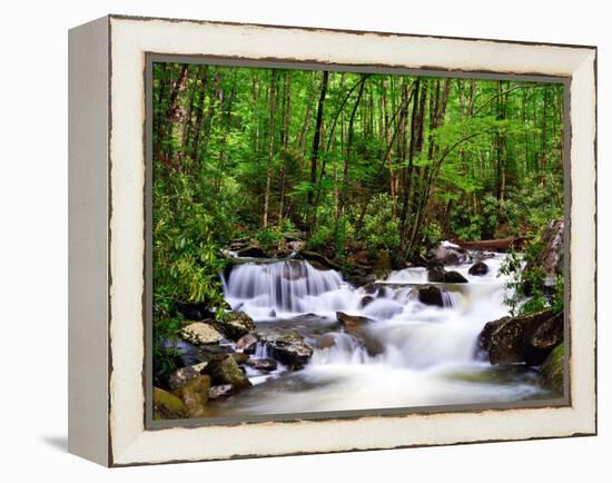 Cascades in the Smoky Mountains of Tennessee, Usa.-SeanPavonePhoto-Framed Premier Image Canvas