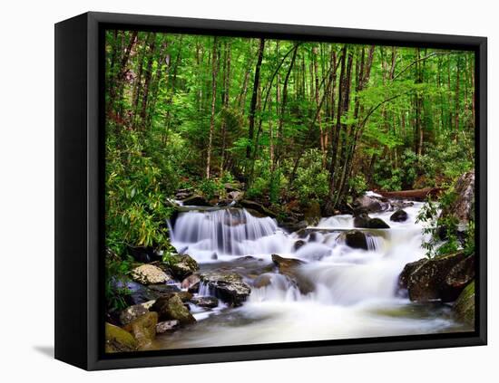 Cascades in the Smoky Mountains of Tennessee, Usa.-SeanPavonePhoto-Framed Premier Image Canvas