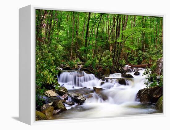 Cascades in the Smoky Mountains of Tennessee, Usa.-SeanPavonePhoto-Framed Premier Image Canvas