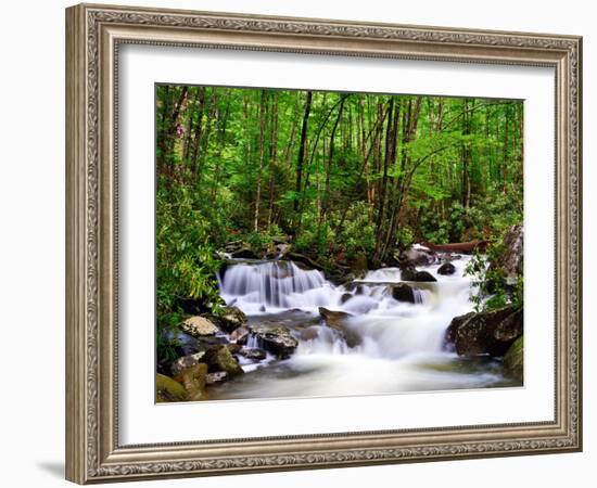 Cascades in the Smoky Mountains of Tennessee, Usa.-SeanPavonePhoto-Framed Photographic Print