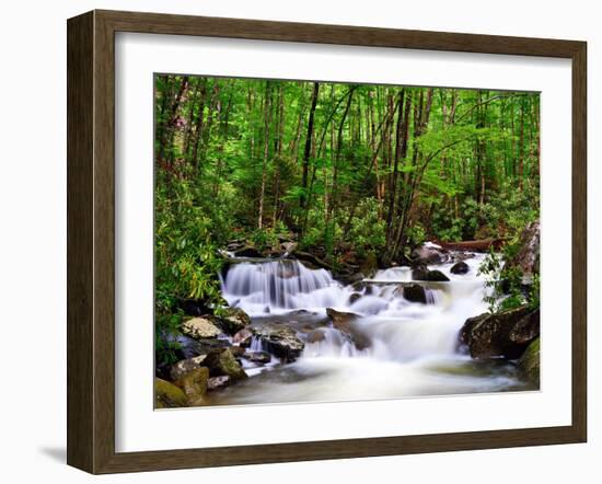 Cascades in the Smoky Mountains of Tennessee, Usa.-SeanPavonePhoto-Framed Photographic Print