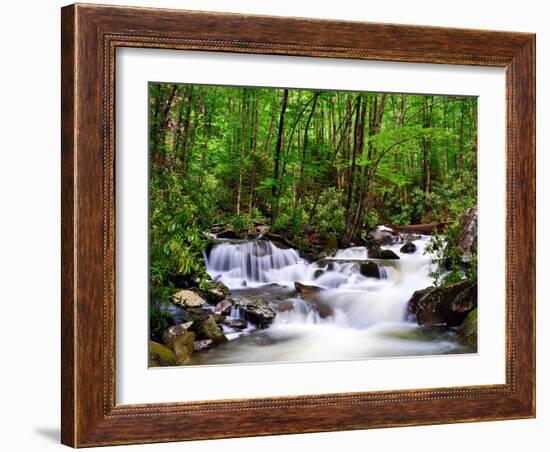 Cascades in the Smoky Mountains of Tennessee, Usa.-SeanPavonePhoto-Framed Photographic Print