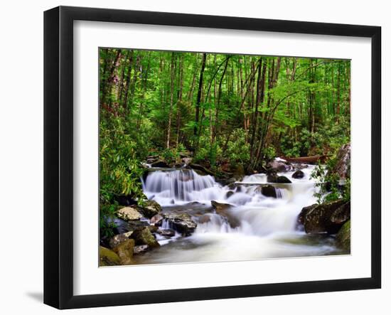 Cascades in the Smoky Mountains of Tennessee, Usa.-SeanPavonePhoto-Framed Photographic Print