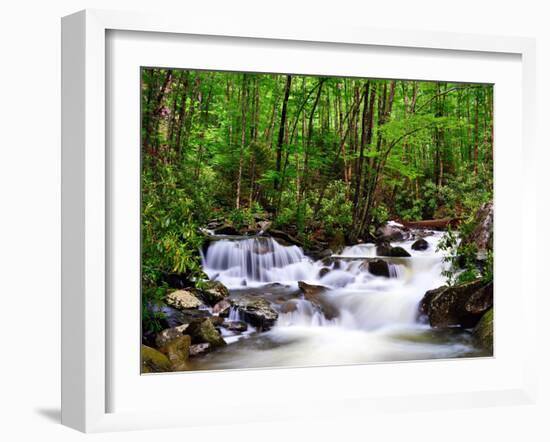 Cascades in the Smoky Mountains of Tennessee, Usa.-SeanPavonePhoto-Framed Photographic Print