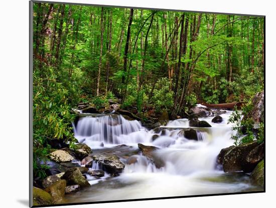 Cascades in the Smoky Mountains of Tennessee, Usa.-SeanPavonePhoto-Mounted Photographic Print