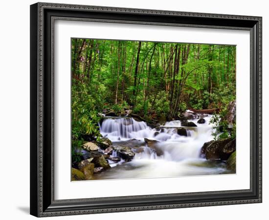 Cascades in the Smoky Mountains of Tennessee, Usa.-SeanPavonePhoto-Framed Photographic Print