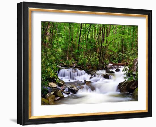Cascades in the Smoky Mountains of Tennessee, Usa.-SeanPavonePhoto-Framed Photographic Print