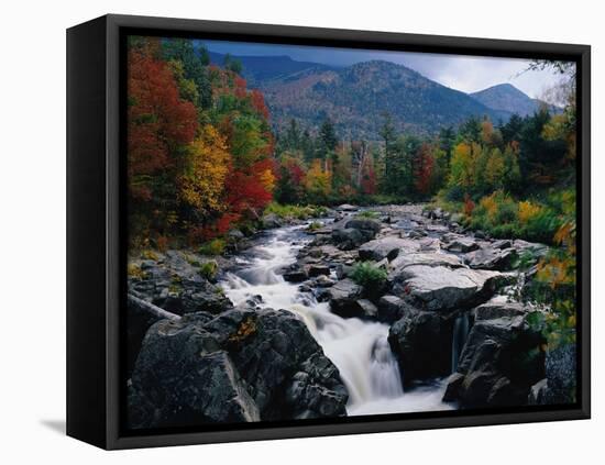 Cascades on Ausable River-James Randklev-Framed Premier Image Canvas