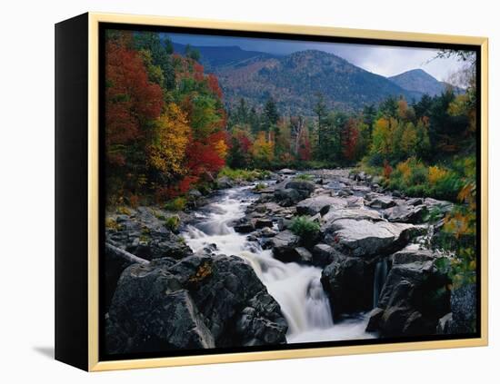 Cascades on Ausable River-James Randklev-Framed Premier Image Canvas