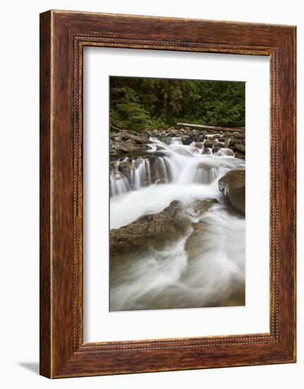 Cascades on Deception Creek, Mount Baker-Snoqualmie National Forest, Washington, U.S.A.-James Hager-Framed Photographic Print