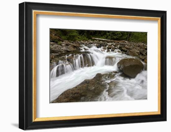 Cascades on Deception Creek, Mount Baker-Snoqualmie National Forest, Washington, U.S.A.-James Hager-Framed Photographic Print