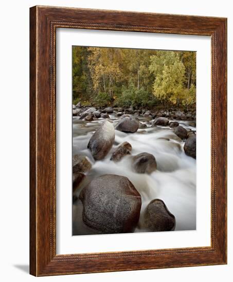 Cascades on the Little Susitna River With Fall Colors, Hatcher Pass, Alaska, USA-James Hager-Framed Photographic Print
