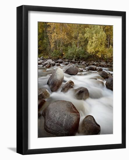 Cascades on the Little Susitna River With Fall Colors, Hatcher Pass, Alaska, USA-James Hager-Framed Photographic Print