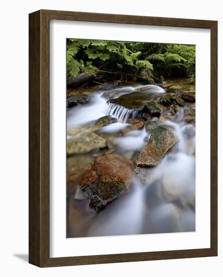 Cascades on Yellow Dog Creek, Coeur D'Alene Nat'l Forest, Idaho Panhandle Nat'l Forests, Idaho, USA-James Hager-Framed Photographic Print
