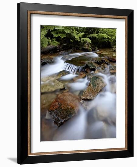 Cascades on Yellow Dog Creek, Coeur D'Alene Nat'l Forest, Idaho Panhandle Nat'l Forests, Idaho, USA-James Hager-Framed Photographic Print