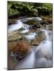 Cascades on Yellow Dog Creek, Coeur D'Alene Nat'l Forest, Idaho Panhandle Nat'l Forests, Idaho, USA-James Hager-Mounted Photographic Print