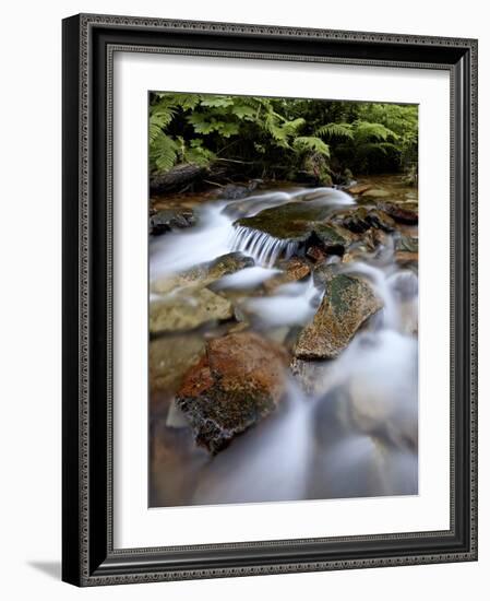 Cascades on Yellow Dog Creek, Coeur D'Alene Nat'l Forest, Idaho Panhandle Nat'l Forests, Idaho, USA-James Hager-Framed Photographic Print