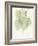 Cascading Bo Tree-Albert Koetsier-Framed Art Print