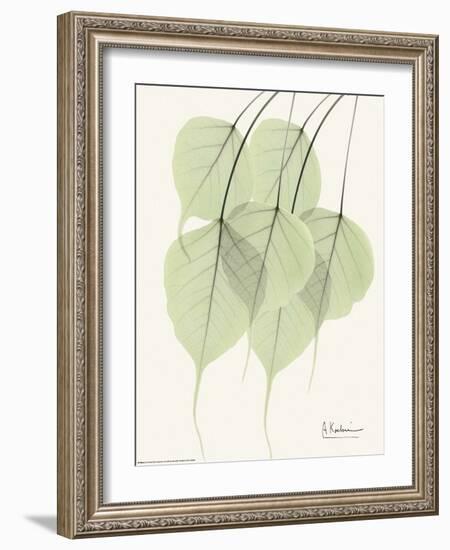 Cascading Bo Tree-Albert Koetsier-Framed Art Print