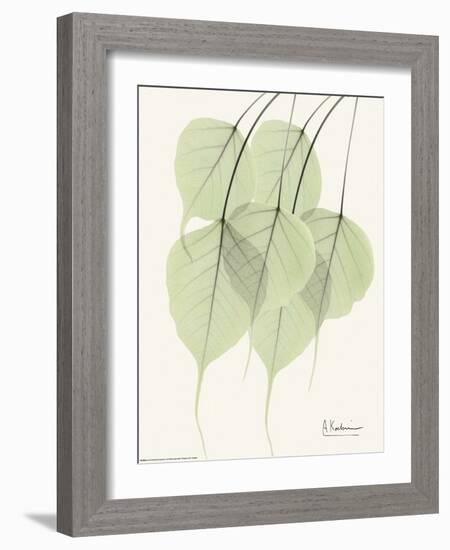 Cascading Bo Tree-Albert Koetsier-Framed Art Print