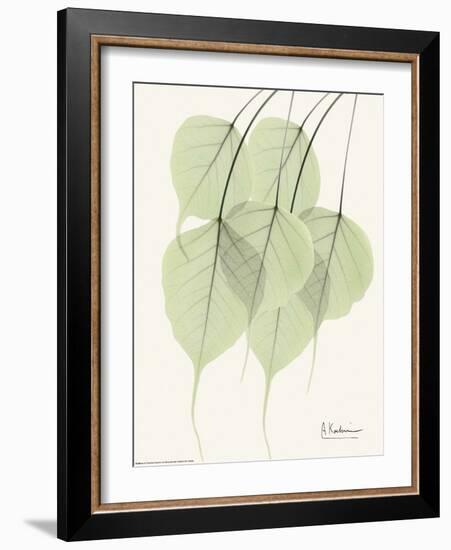Cascading Bo Tree-Albert Koetsier-Framed Art Print