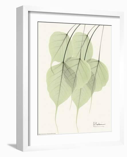 Cascading Bo Tree-Albert Koetsier-Framed Art Print