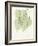 Cascading Bo Tree-Albert Koetsier-Framed Art Print