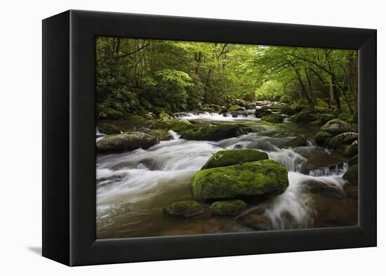 Cascading Creek, Great Smoky Mountains National Park, Tennessee, USA-null-Framed Premier Image Canvas