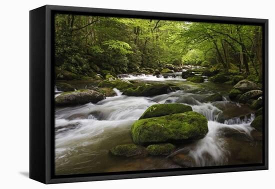 Cascading Creek, Great Smoky Mountains National Park, Tennessee, USA-null-Framed Premier Image Canvas