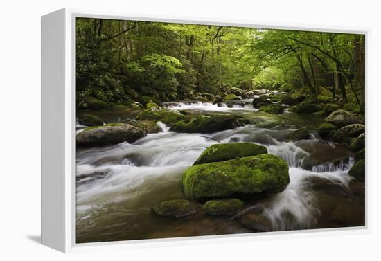 Cascading Creek, Great Smoky Mountains National Park, Tennessee, USA-null-Framed Premier Image Canvas